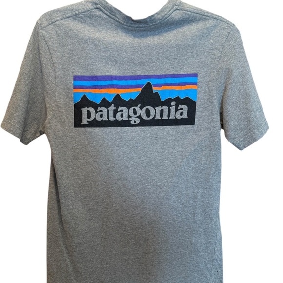 Patagonia Gray Short Sleeve Tee Classic Crew Neck - Picture 2 of 11